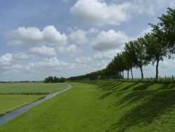 Afbeelding invoegen